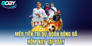 Mèo tiên tri dự đoán bóng đá hôm nay
