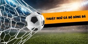 các thuật ngữ cá độ bóng đá